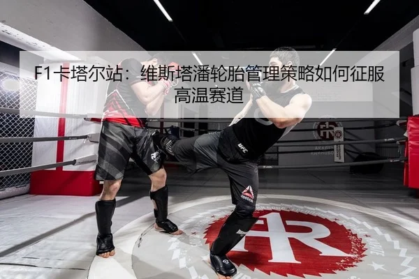 F1卡塔尔站：维斯塔潘轮胎管理策略如何征服高温赛道